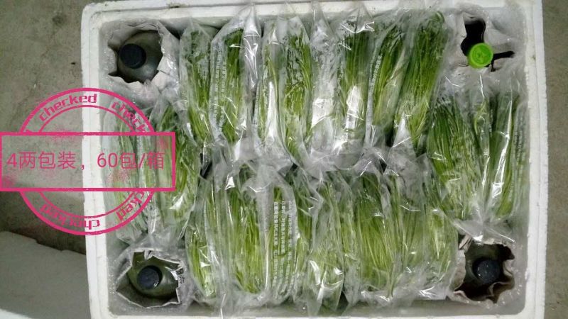 台湾野莲每天新鲜采摘/野菜特菜