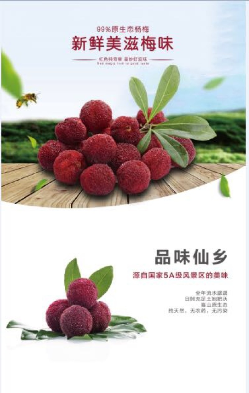 东魁杨梅
