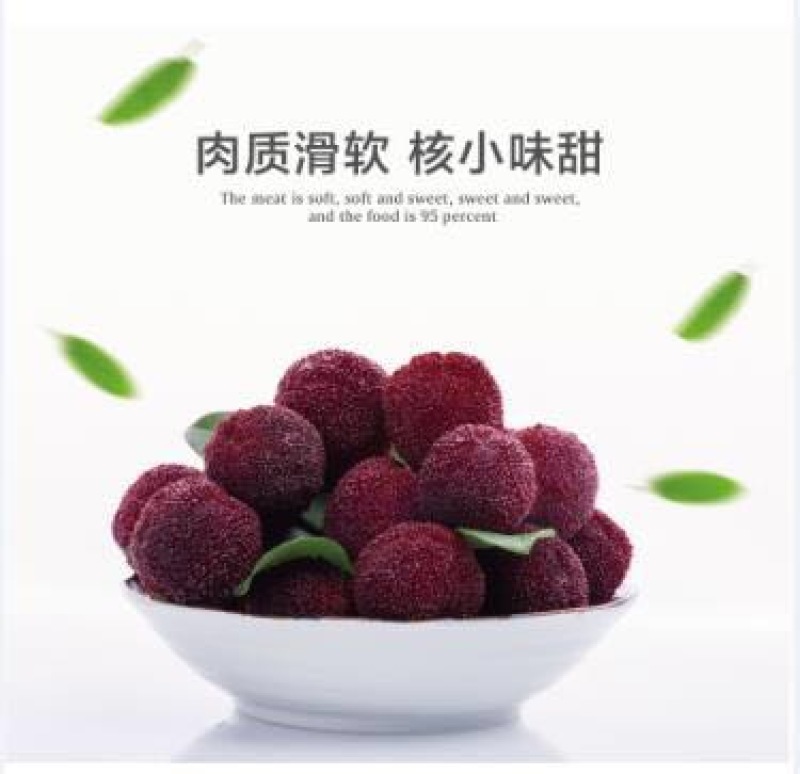 东魁杨梅