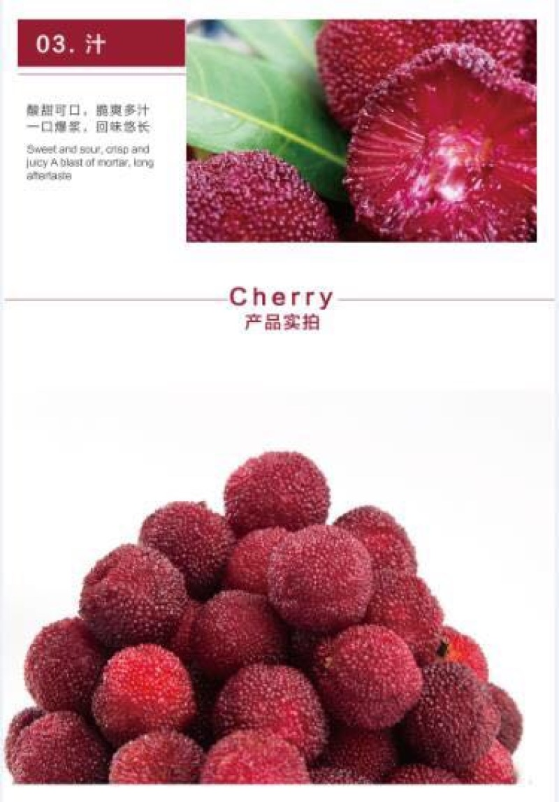东魁杨梅