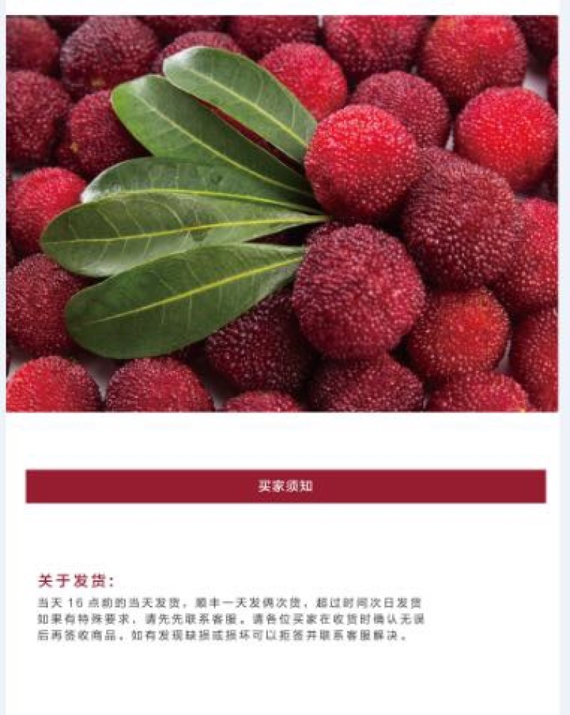 东魁杨梅