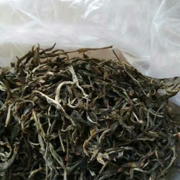 古树普洱茶二级