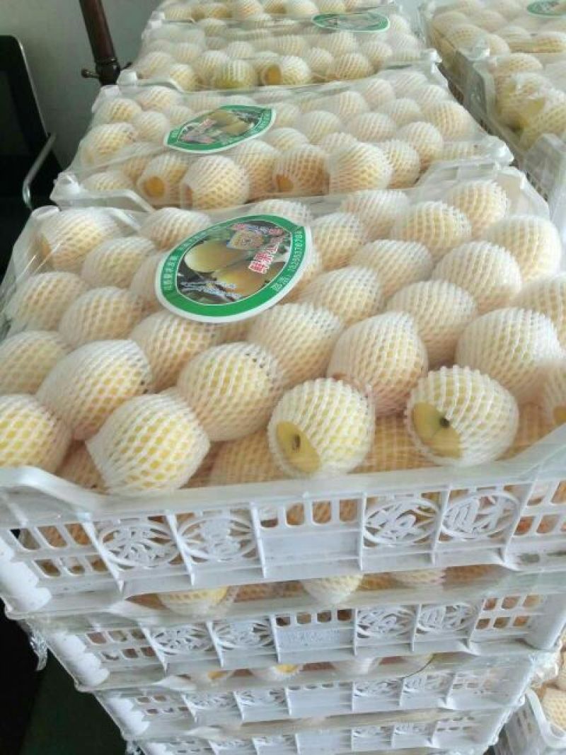 中油5号油桃3两以上