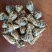 普洱绿茶一级