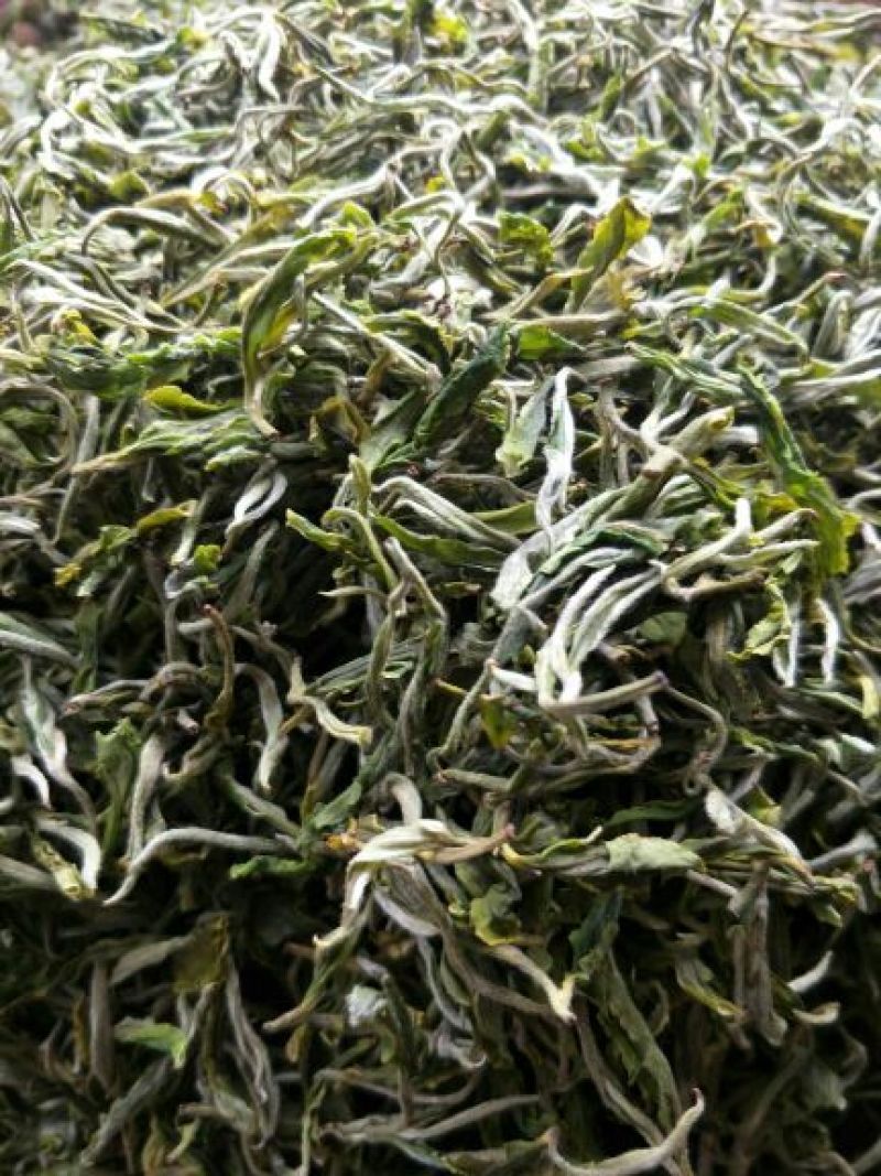 普洱绿茶一级