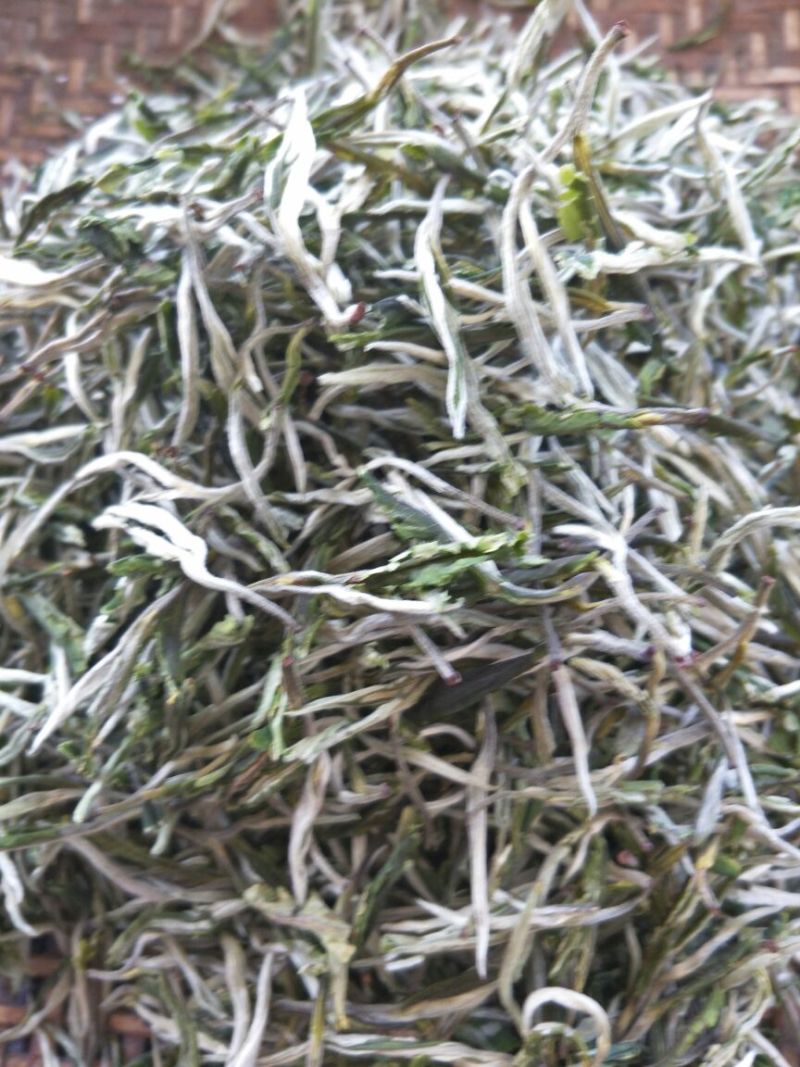 普洱绿茶一级