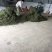 普洱绿茶一级