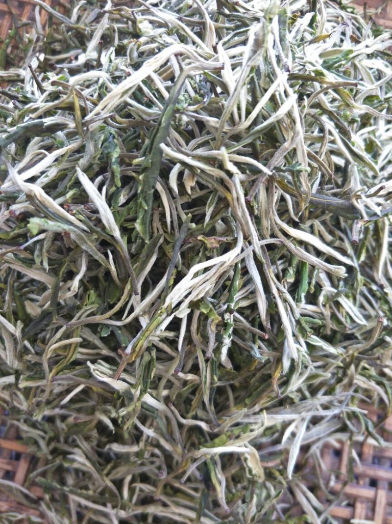普洱绿茶一级