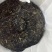 普洱茶