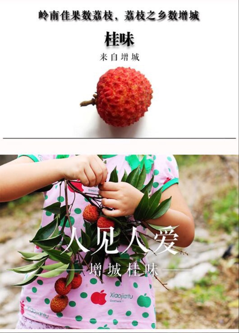 荔枝