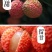 荔枝