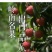 荔枝
