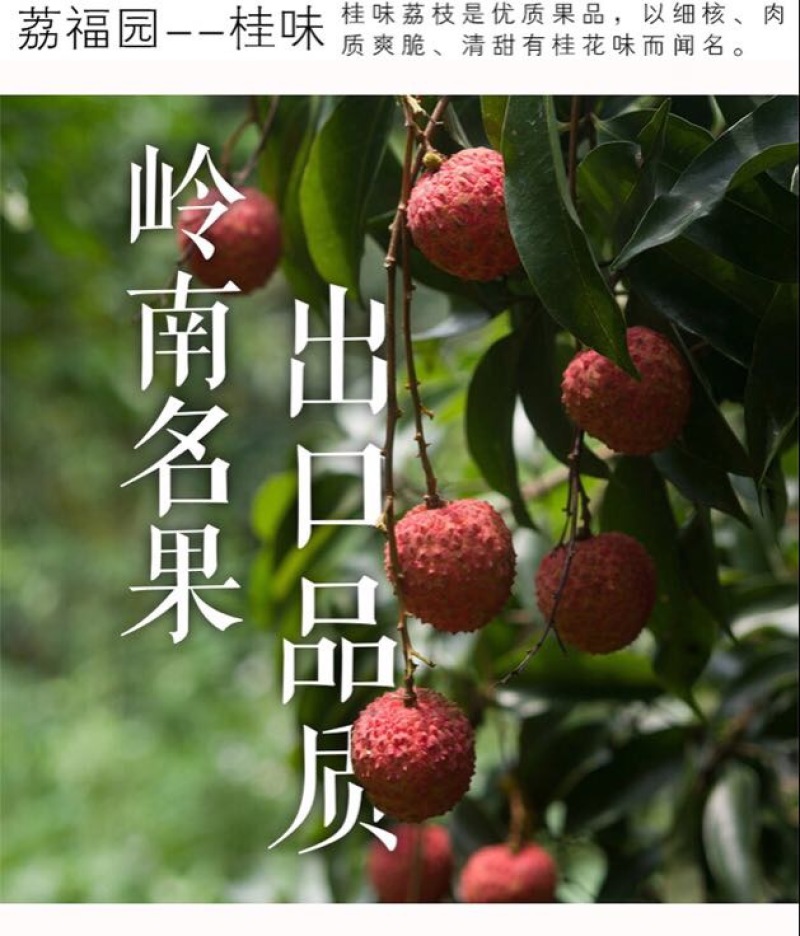 荔枝