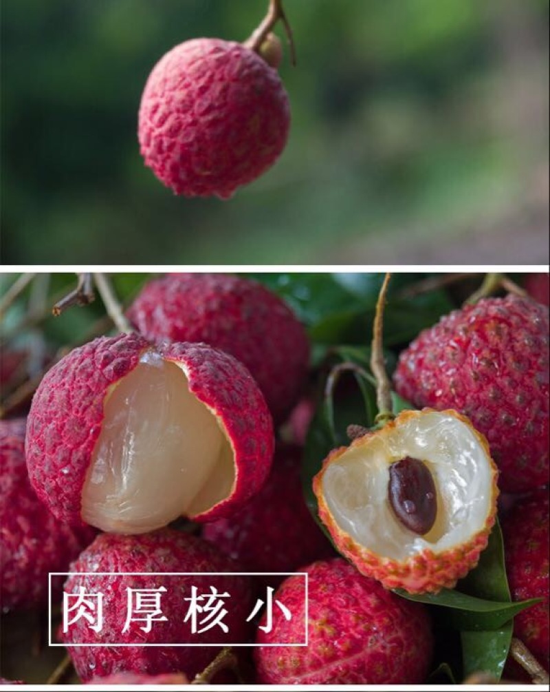 荔枝