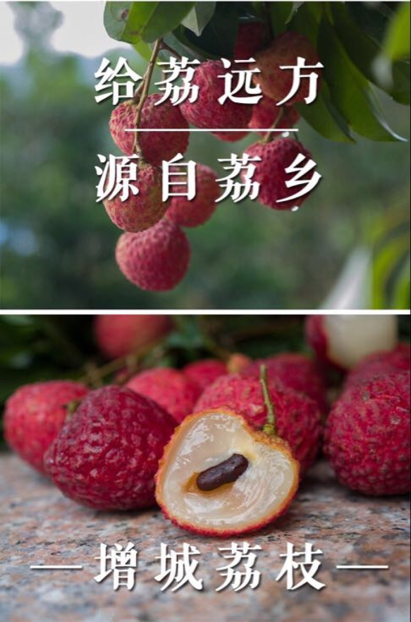 荔枝
