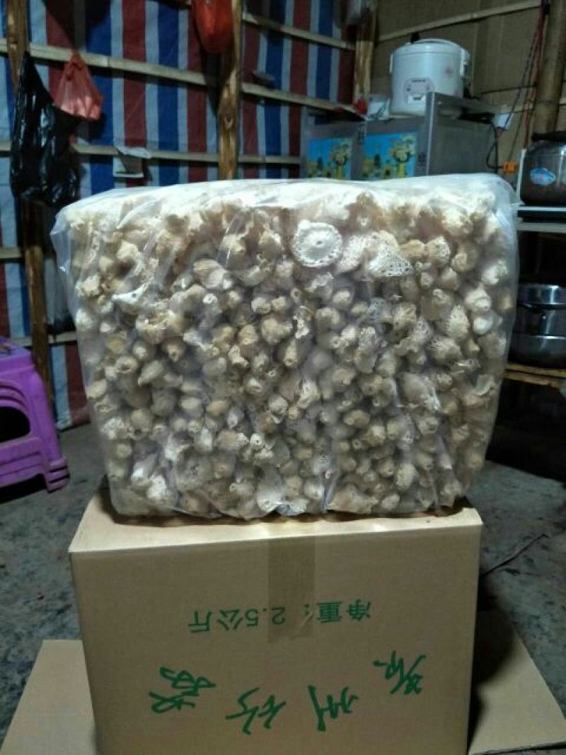 短裙竹荪一级
