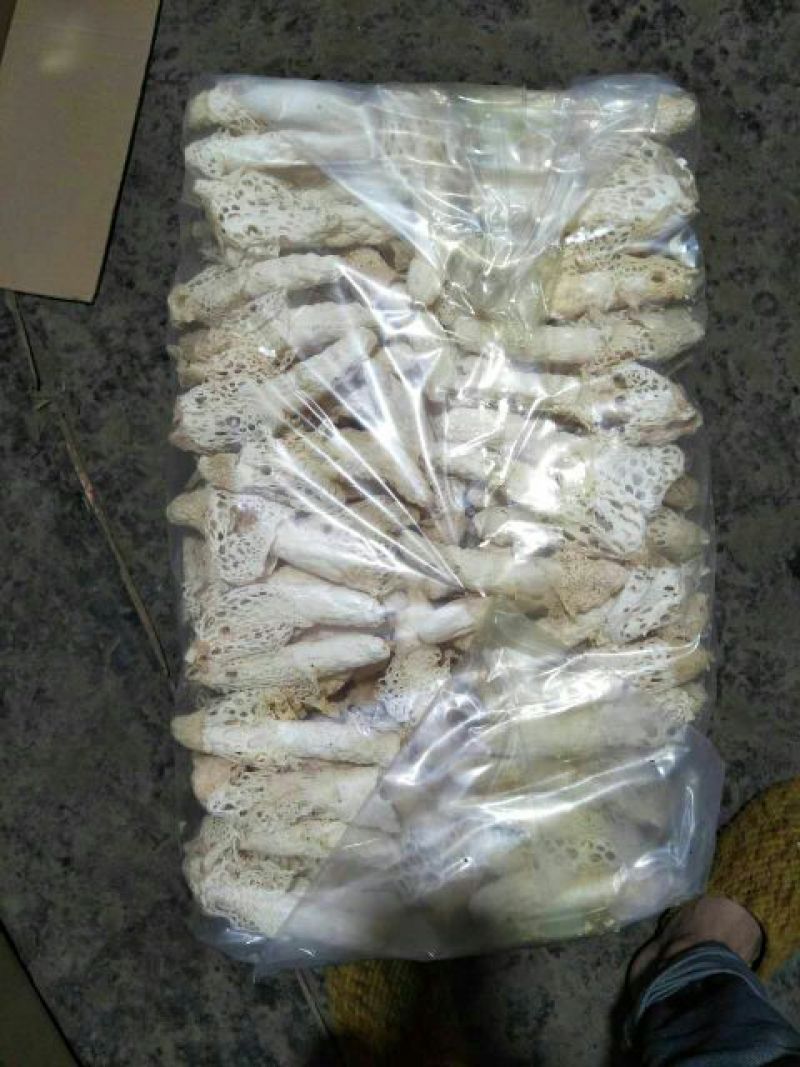 短裙竹荪一级