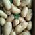 山东土豆，荷兰十五土豆产地直销，袋装，箱装，