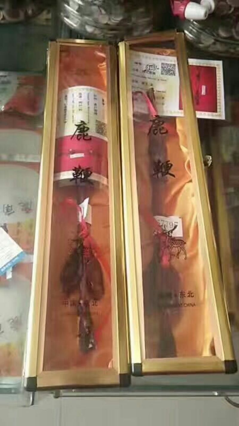 鹿鞭梅花鹿较广