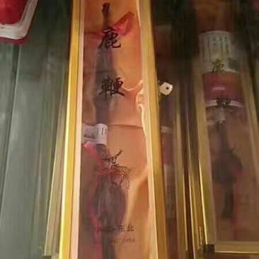 鹿鞭梅花鹿较广