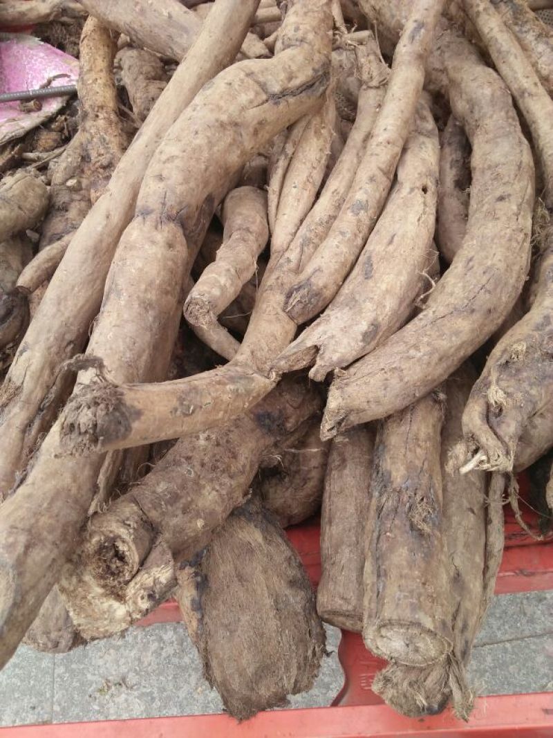 葛根药用