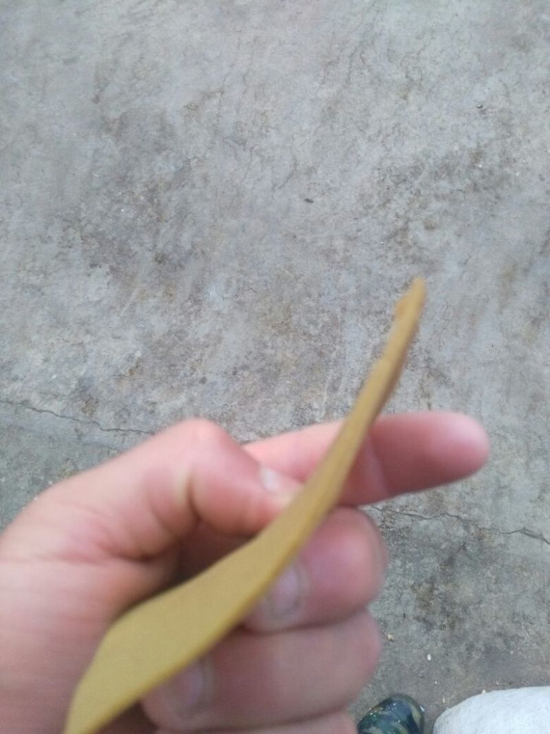 豆皮干