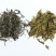 普洱茶一级