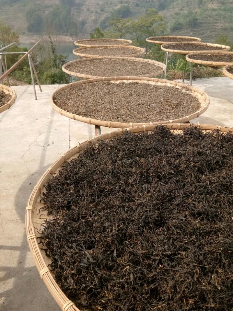 普洱茶一级