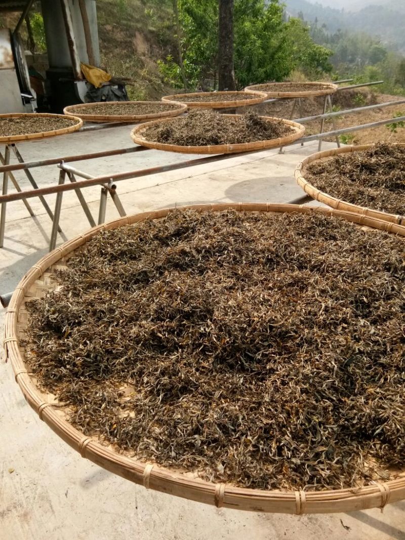 普洱茶一级
