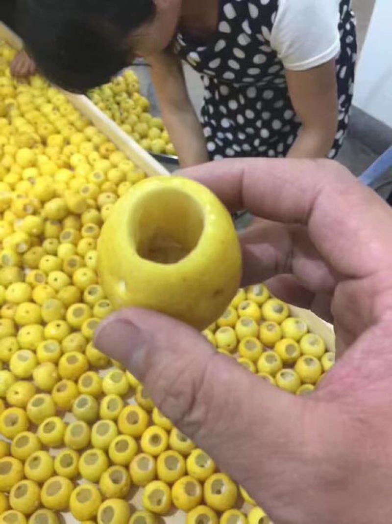 普洱茶