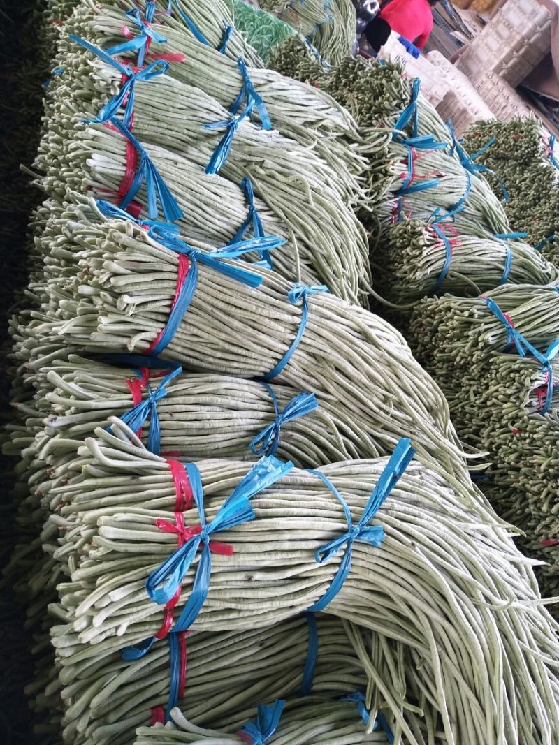 精品长豆角，大量上市，货源充足，质量很好，提供各种包装