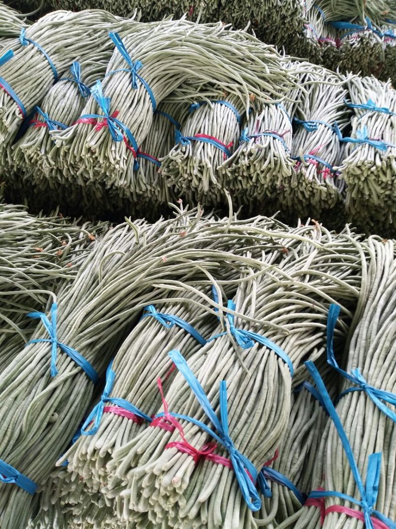 精品长豆角，大量上市，货源充足，质量很好，提供各种包装