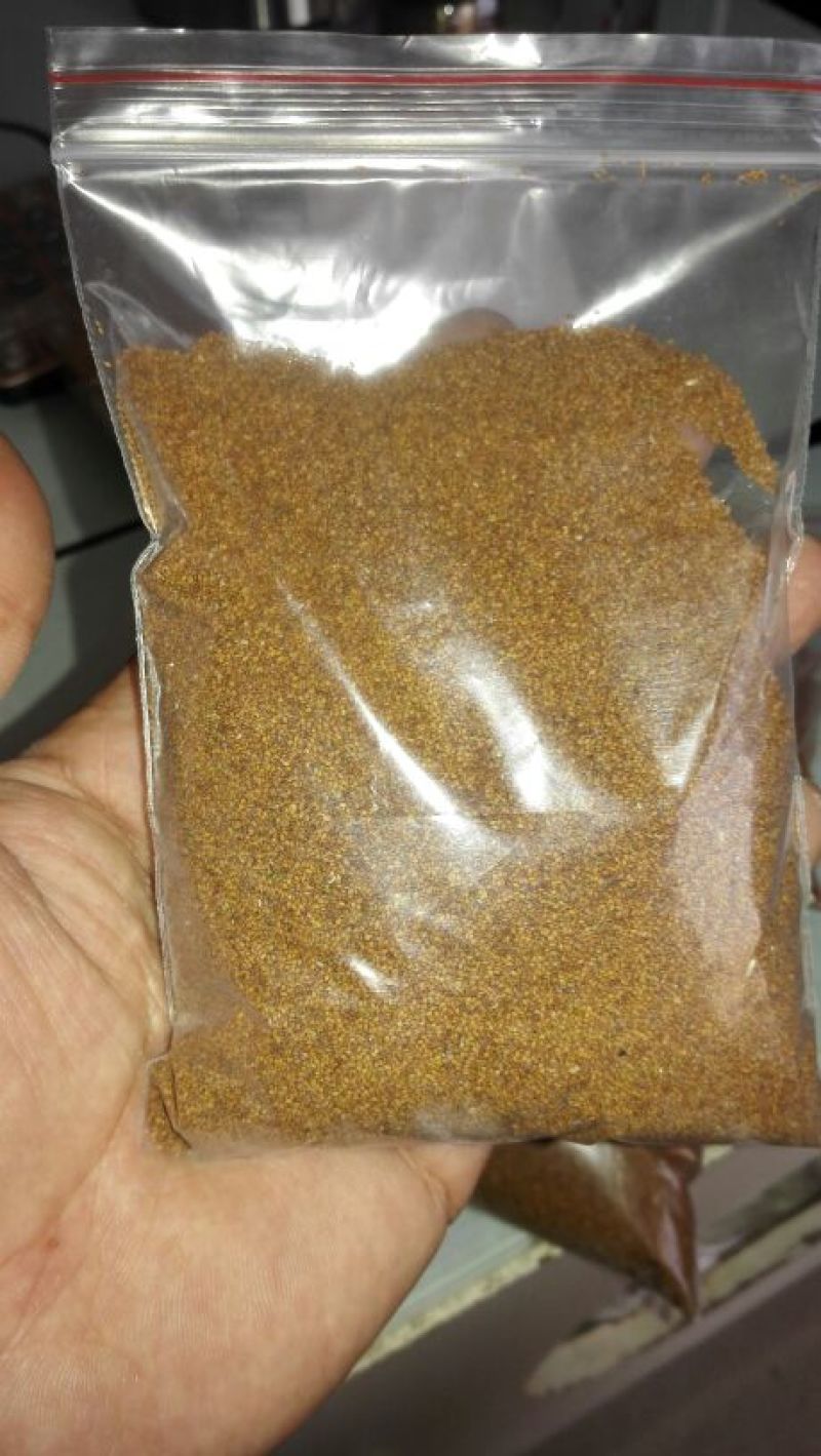 精选荠菜种子货量大，厂家发货，一手货源