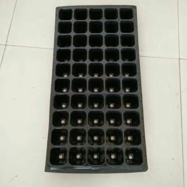 穴盘50孔