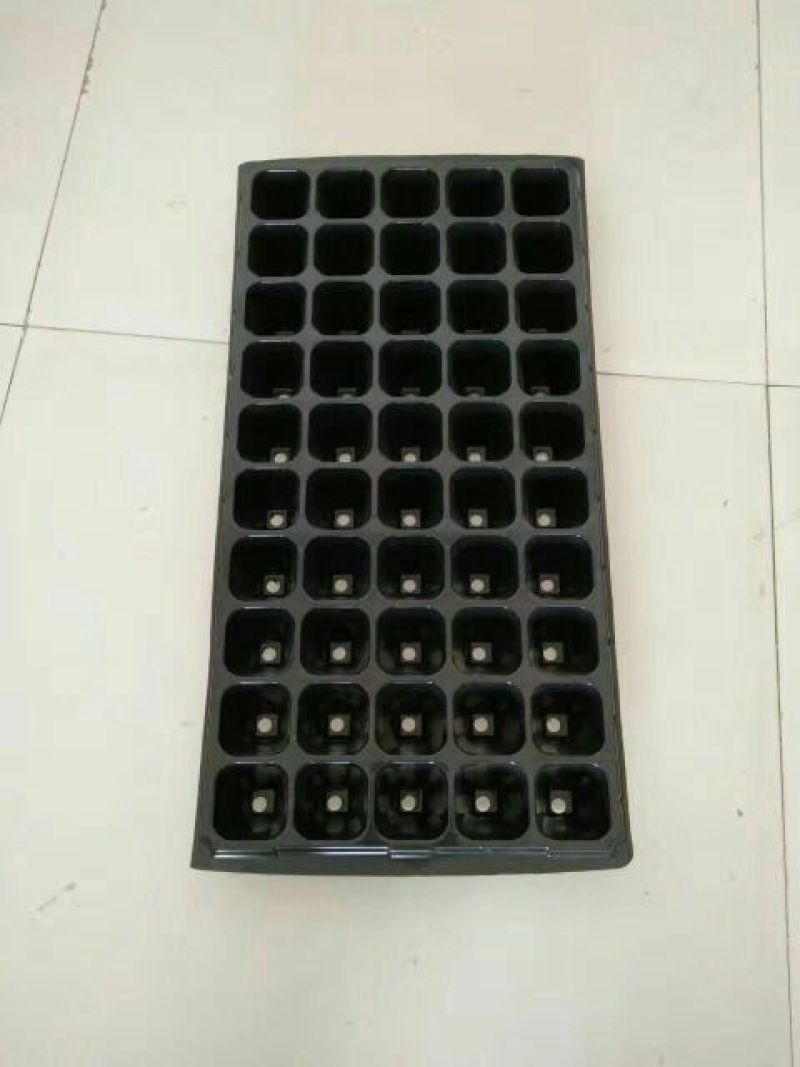 穴盘50孔