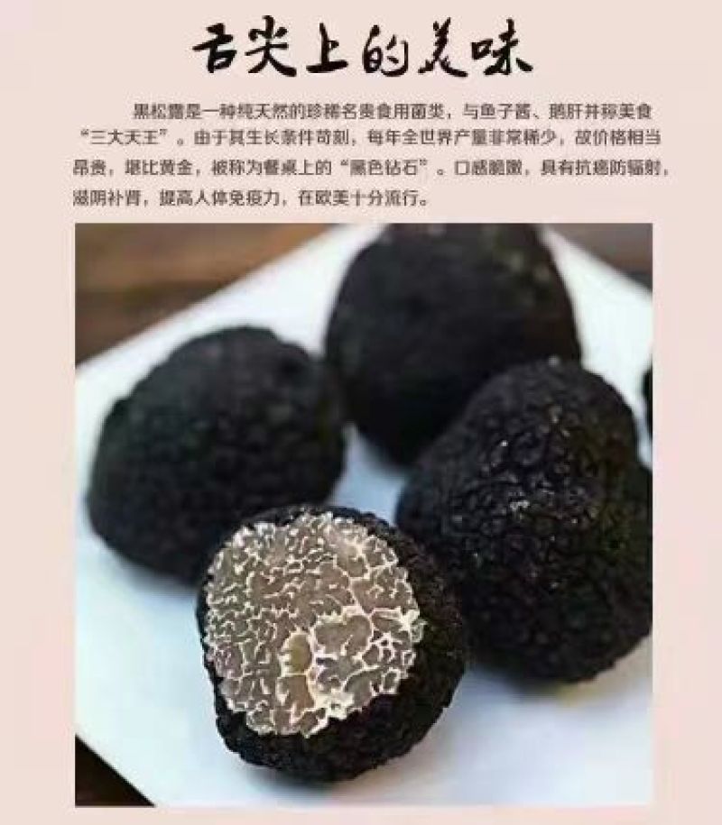 黑松露4公分以上