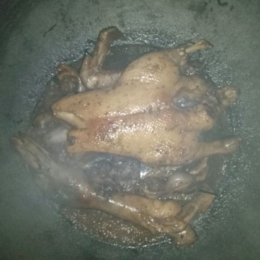 鸭肉