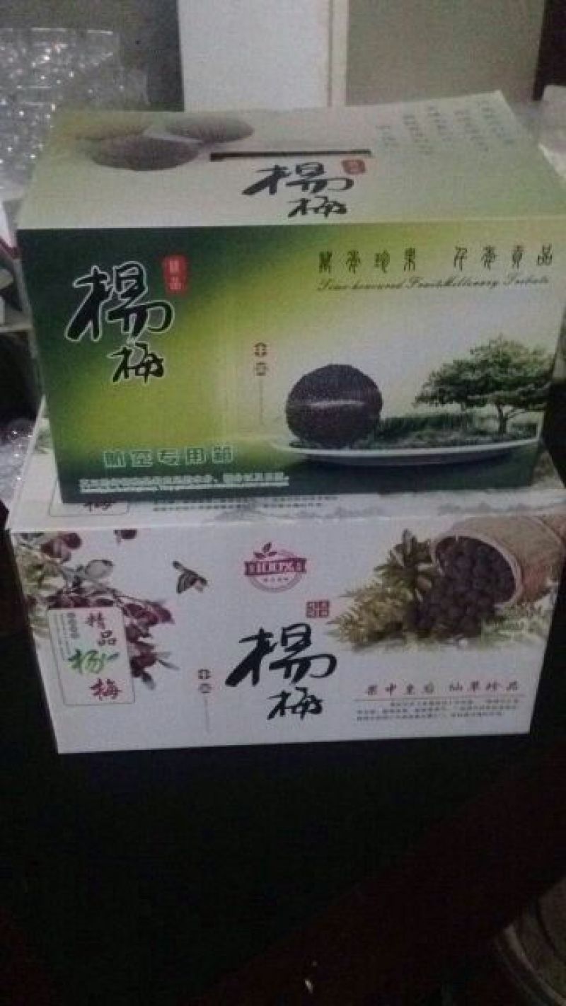 慈溪杨梅1.5~2cm