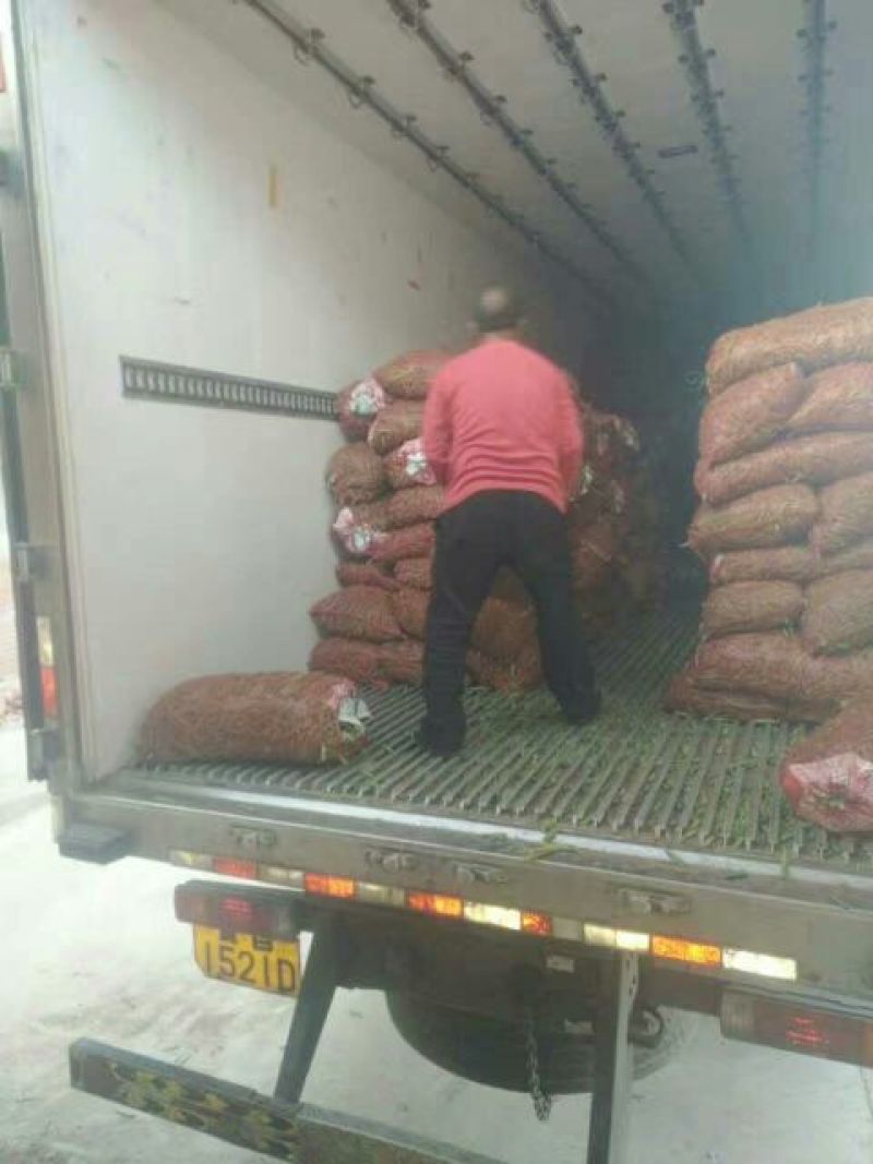 豌豆荚