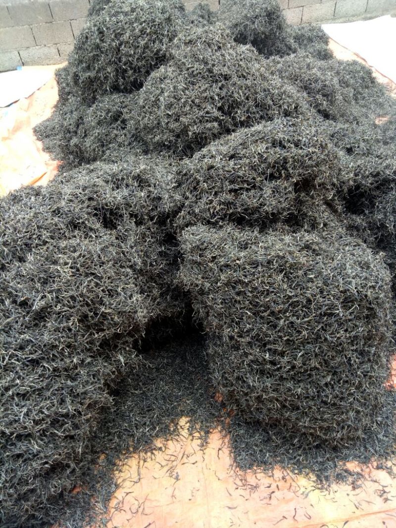 普洱茶一级