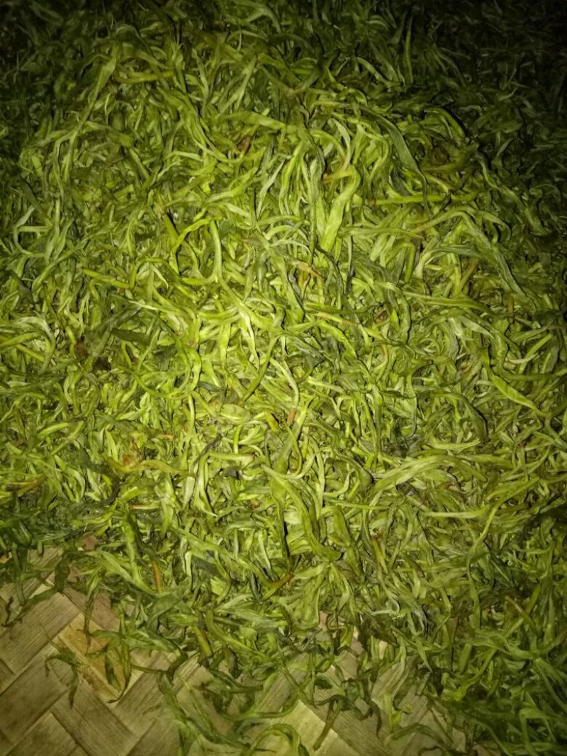 普洱茶一级
