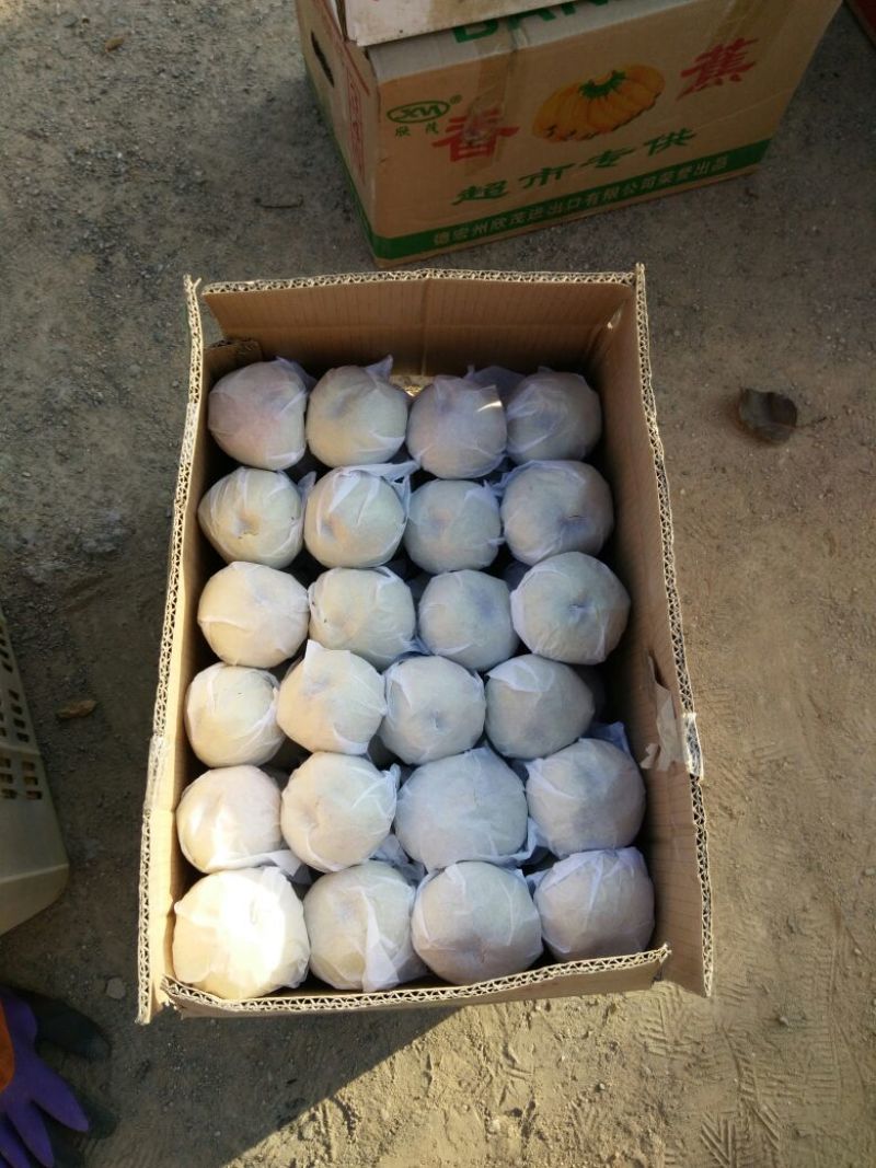 苹果梨200~250g光果