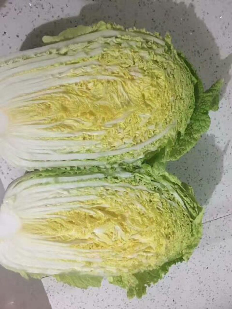 河北黄心大白菜，玲珑黄大白菜，外表青秀，产地直供一手货源