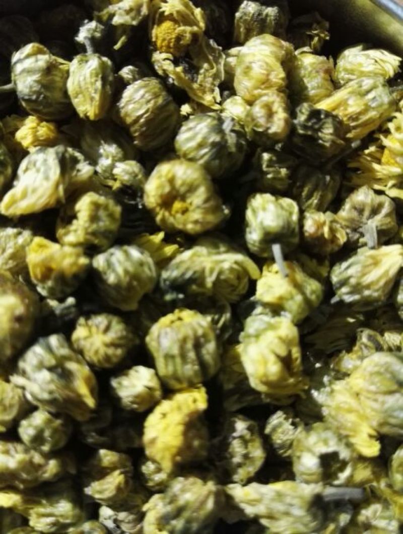 药用菊花散装
