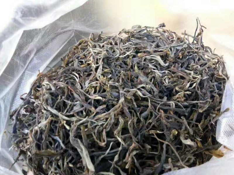百年大树茶二级
