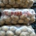 土豆精品基地直发量大从优品质保障可个个饱满，很嫩，精
