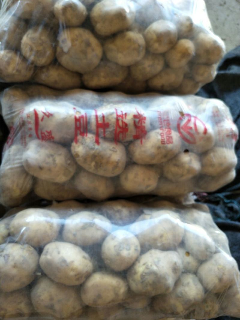 土豆精品基地直发量大从优品质保障可个个饱满，很嫩，精
