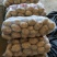 土豆精品基地直发量大从优品质保障可个个饱满，很嫩，精