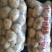 土豆精品基地直发量大从优品质保障可个个饱满，很嫩，精