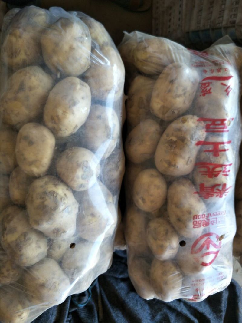 土豆精品基地直发量大从优品质保障可个个饱满，很嫩，精